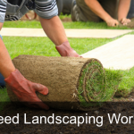 landscaping solutions