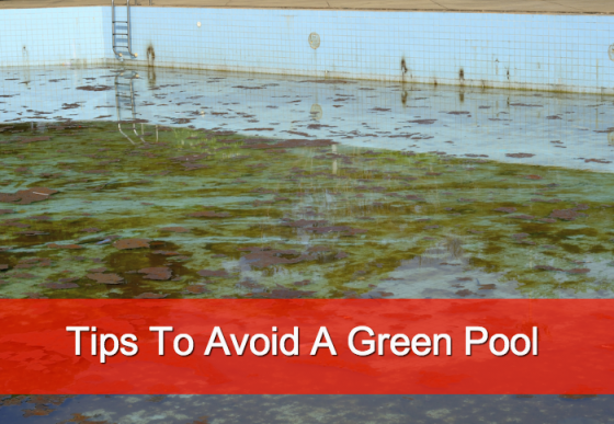 Keep Your Pool From Going Green